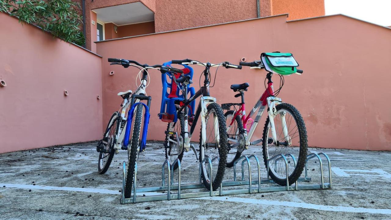 Villa Paolina Ceriale - App. 6 Posti Buitenkant foto